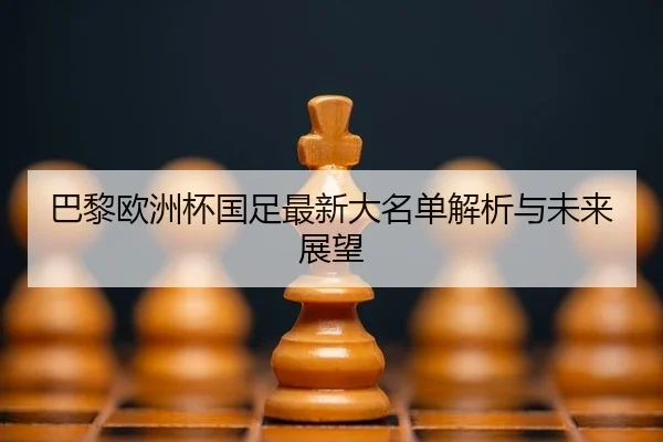 巴黎欧洲杯国足最新大名单解析与未来展望